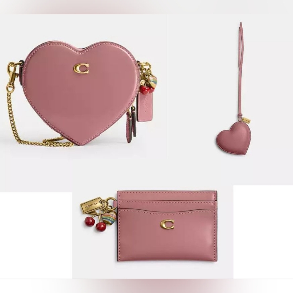 Coach Heart Crossbody Set NWT